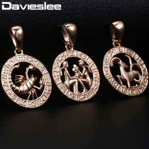 Davieslee 12 Zodiac Sign Constellation Pendant Necklace For Women Men Rose Gold Filled Round Shaped DGPM16